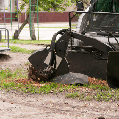 Stump Grinding